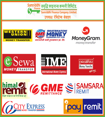 Remittance Partners